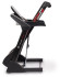 Беговая дорожка Titanium Masters Physiotech THF Беговая дорожка Titanium Masters Physiotech THF