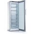 Морозильная камера HOTPOINT-ARISTON HFZ 6175 S