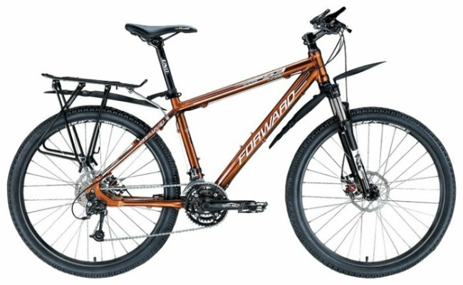 Горный гибрид FORWARD 5312 (2013)
