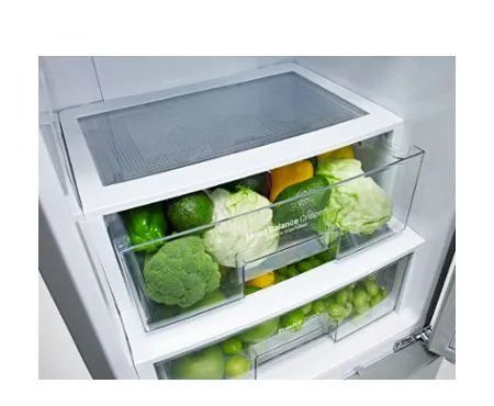 Холодильник LG GB-B530NSQPB Холодильник LG GB-B530NSQPB