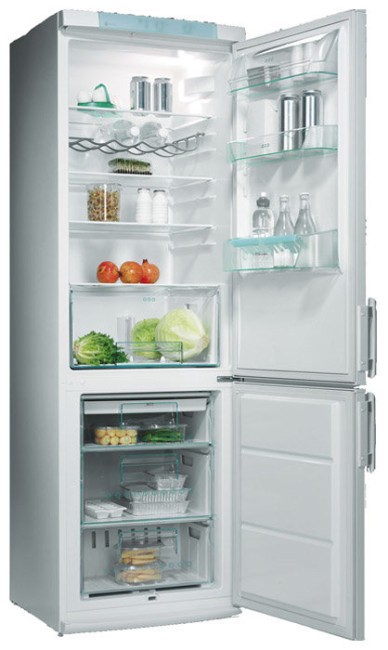 Холодильник Electrolux ERB 3644