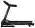 Электрическая беговая дорожка Evo Fitness Etalon