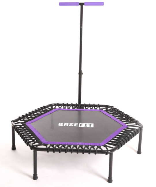 Батут BaseFit TR-401 101 см фиолетовый Батут BaseFit TR-401 101 см фиолетовый