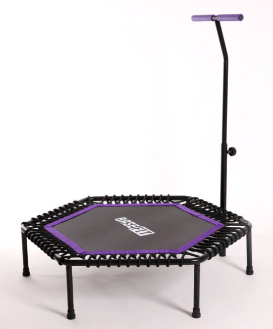 Батут BaseFit TR-401 101 см фиолетовый Батут BaseFit TR-401 101 см фиолетовый