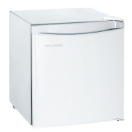 Холодильник Willmark RF-55W Холодильник Willmark RF-55W