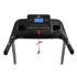 Электрическая беговая дорожка DFC SPARKY Pro T635
