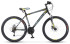 Горный (MTB) велосипед Десна 2610 MD 26 (2020)