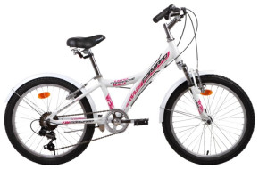Подростковый горный (MTB) велосипед FORWARD Comanche 1.0 Lady (2015)