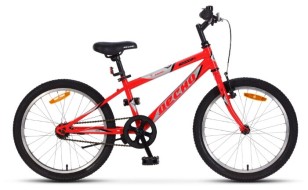 Подростковый горный (MTB) велосипед Десна Феникс V 20 (2019)