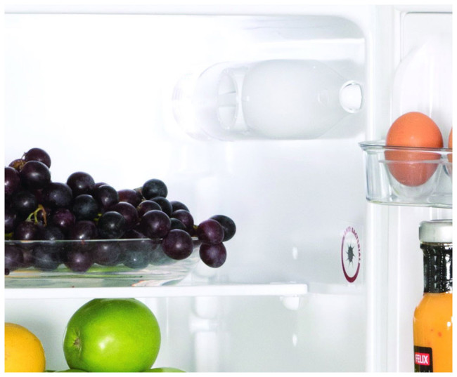 Холодильник Snaige FR250-1101AA-00LTJ0A Холодильник Snaige FR250-1101AA-00LTJ0A