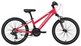 Подростковый горный (MTB) велосипед Merida Matts J20 Girl 14-sp (2019)