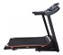 Электрическая беговая дорожка ROYAL FITNESS RF-6 Электрическая беговая дорожка ROYAL FITNESS RF-6