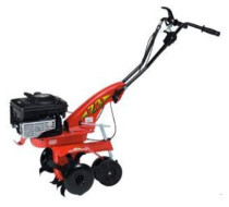 Культиватор бензиновый Eurosystems Z 3 RM B&S 625 Series 5.03 л.с. Культиватор бензиновый Eurosystems Z 3 RM B&S 625 Series 5.03 л.с.