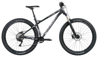 Горный (MTB) велосипед Format 1312 (2019) Горный (MTB) велосипед Format 1312 (2019)