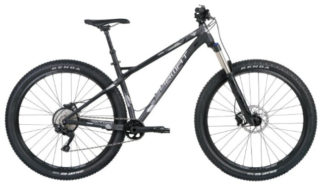 Горный (MTB) велосипед Format 1312 (2019)