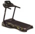 Беговая дорожка UltraGym Altezani ALS 1100
