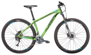 Горный (MTB) велосипед Format 1213 29 (2019) Горный (MTB) велосипед Format 1213 29 (2019)