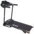 Беговая дорожка Domsen Fitness DST20