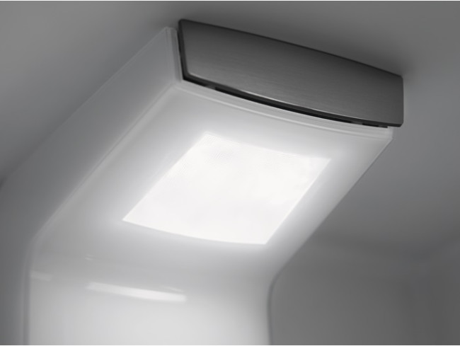 Холодильник Electrolux RNS9TE19S Холодильник Electrolux RNS9TE19S