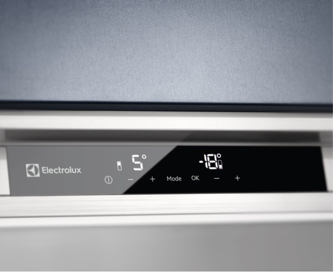 Холодильник Electrolux RNS9TE19S Холодильник Electrolux RNS9TE19S