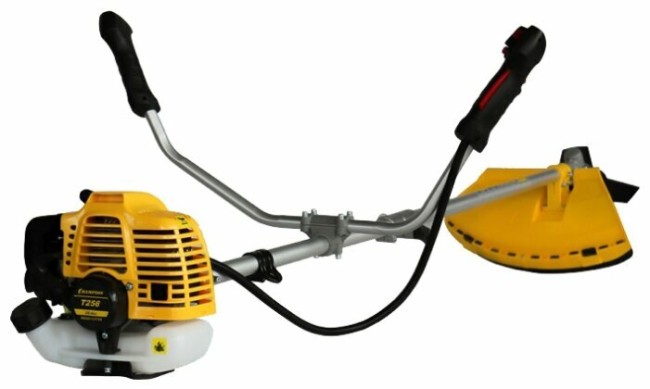Триммер бензиновый CHAMPION T256 Триммер бензиновый CHAMPION T256
