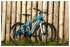 Горный (MTB) велосипед FORWARD Agris Lady 27.5 2.0 Disc (2016)