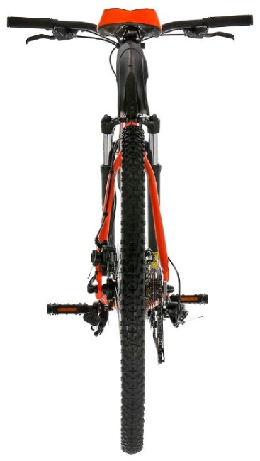 Горный (MTB) велосипед FORWARD Apache 2.0 29 Disc (2017)