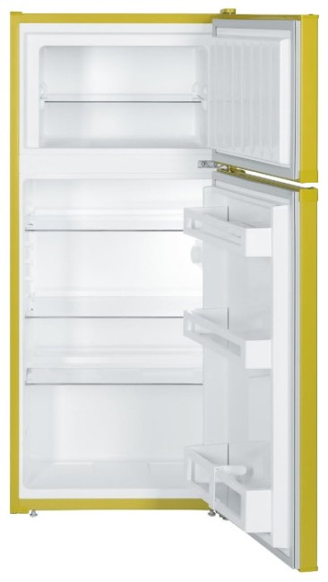 Холодильник Liebherr CTPag 2121 Холодильник Liebherr CTPag 2121