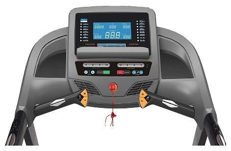 Электрическая беговая дорожка Larsen Newtone E2000