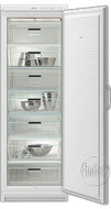 Морозильник Gorenje F 31 CC