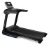 Беговая дорожка Oxygen New Classic Aurum AC TFT Беговая дорожка Oxygen New Classic Aurum AC TFT