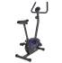 Вертикальный велотренажер ROYAL FITNESS RF-10 (RFIB-10) Вертикальный велотренажер ROYAL FITNESS RF-10 (RFIB-10)