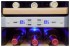 Винный шкаф Cold Vine C12-TSF2 Винный шкаф Cold Vine C12-TSF2