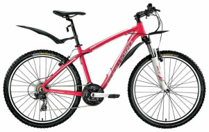 Горный (MTB) велосипед FORWARD Agris Lady 1.0 (2016)