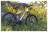 Горный (MTB) велосипед FORWARD Terra 2.0 Disc (2016) Горный (MTB) велосипед FORWARD Terra 2.0 Disc (2016)