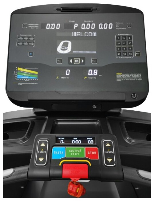 Беговая дорожка CardioPower Pro CT500