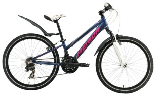 Подростковый горный (MTB) велосипед Merida Matts J24 Girl 21s (2015) Подростковый горный (MTB) велосипед Merida Matts J24 Girl 21s (2015)
