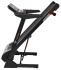 Беговая дорожка Titanium Masters Physiotech TCA Беговая дорожка Titanium Masters Physiotech TCA