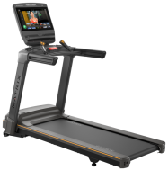 Беговая дорожка Matrix Endurance Touch XL