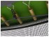Каркасный батут Unix Line 14ft Classic (outside) 427х427х269 см Каркасный батут Unix Line 14ft Classic (outside) 427х427х269 см