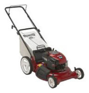 Газонокосилка CRAFTSMAN 38894 Газонокосилка CRAFTSMAN 38894