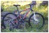 Горный (MTB) велосипед FORWARD Flare 2.0 Disc (2016)