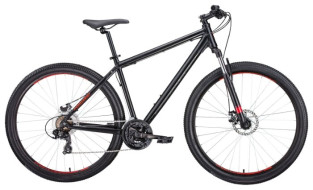 Горный (MTB) велосипед FORWARD Apache 29 2.0 Disc (2019)