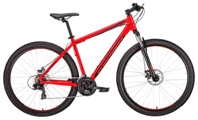Горный (MTB) велосипед FORWARD Apache 29 2.0 Disc (2019) Горный (MTB) велосипед FORWARD Apache 29 2.0 Disc (2019)