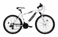 Горный (MTB) велосипед FORWARD Next 101 (2010)
