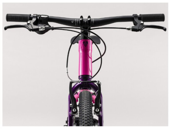 Подростковый горный гибрид TREK Wahoo 20 (2020)