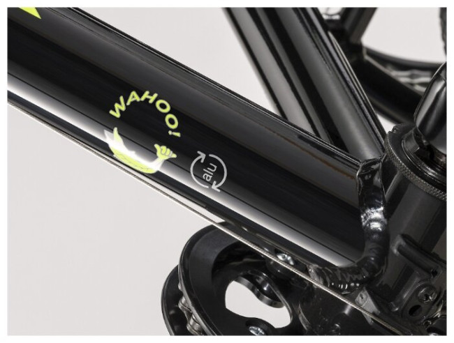 Подростковый горный гибрид TREK Wahoo 20 (2020)