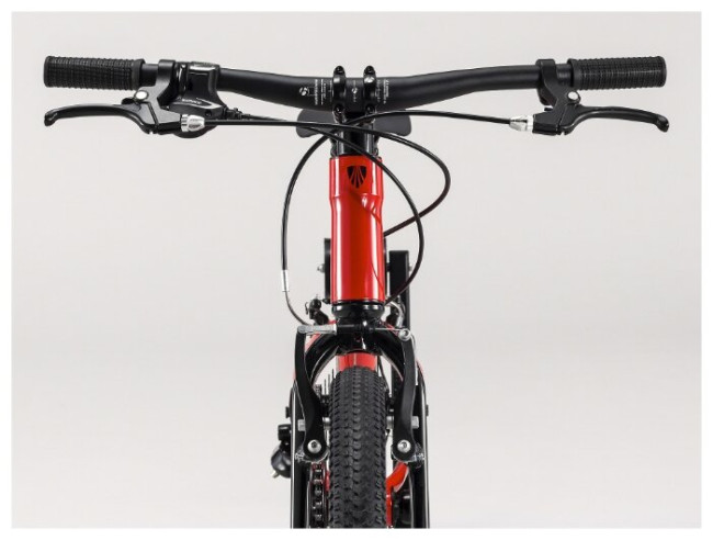 Подростковый горный гибрид TREK Wahoo 20 (2020)
