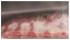Холодильник Whirlpool BSNF 9782 OX Холодильник Whirlpool BSNF 9782 OX