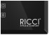 Электрическая варочная панель RICCI DTL-D23002B